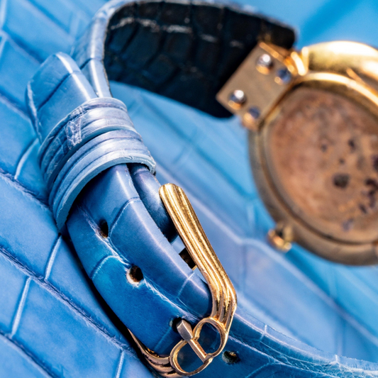 baby-blue-alligator-leathter-strap-for-christian-dior-bagheera-backside.png